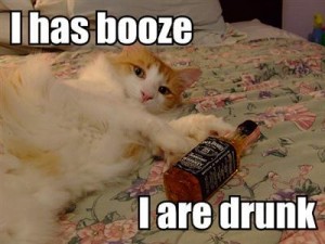 i-has-booze-i-are-drunk