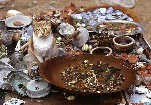 prov-flm-tyrecat prov-flm-tyrecat