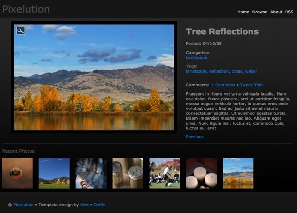 Tree Reflections • Pixelution.jpg