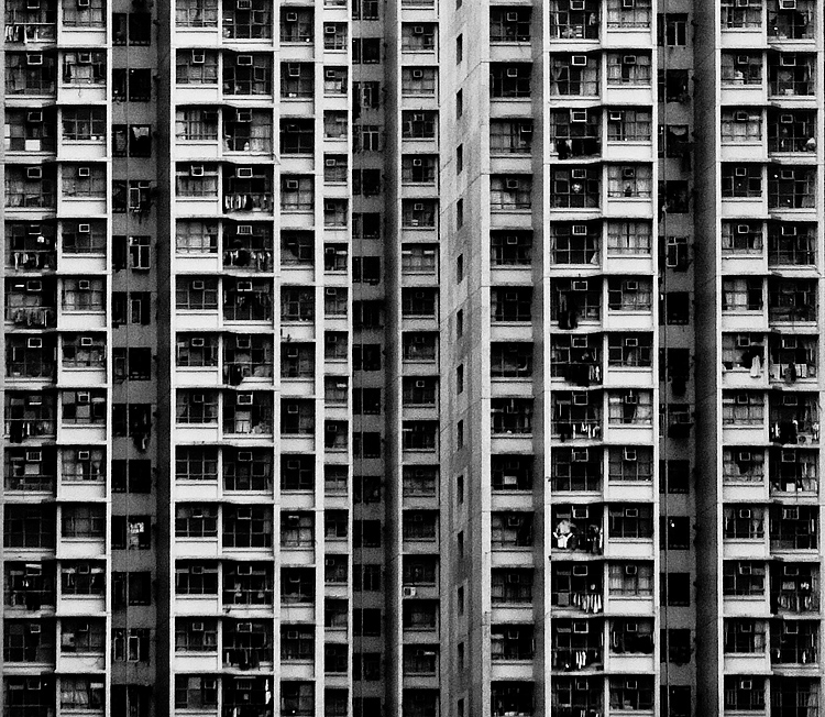 Human Hive