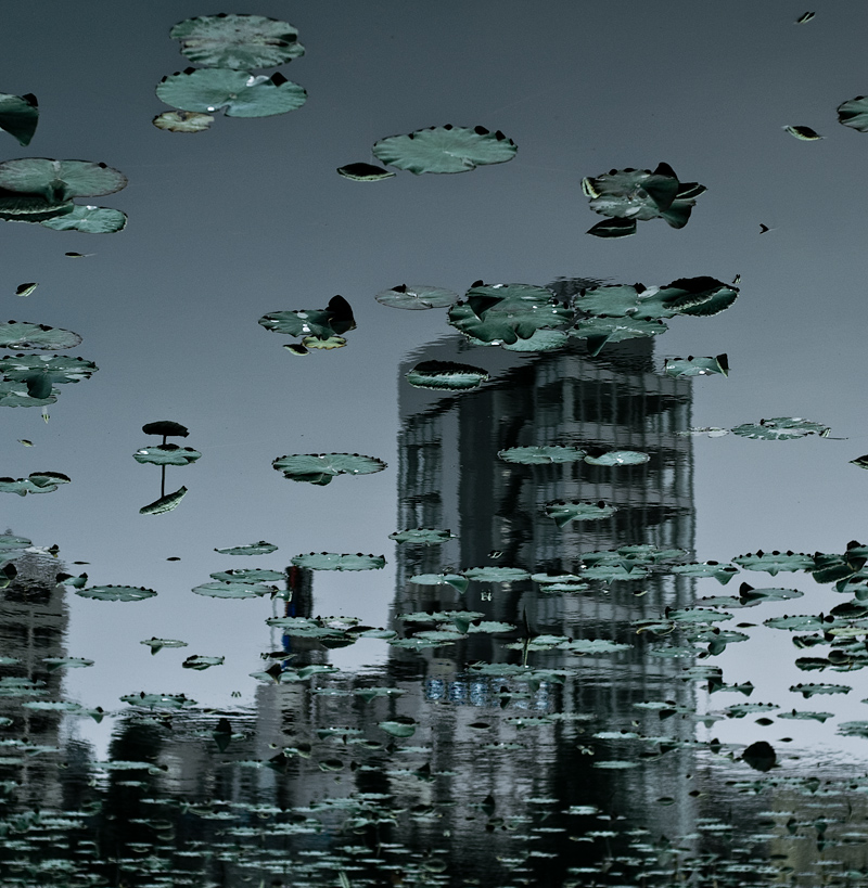 Aliens flying over Ueno park