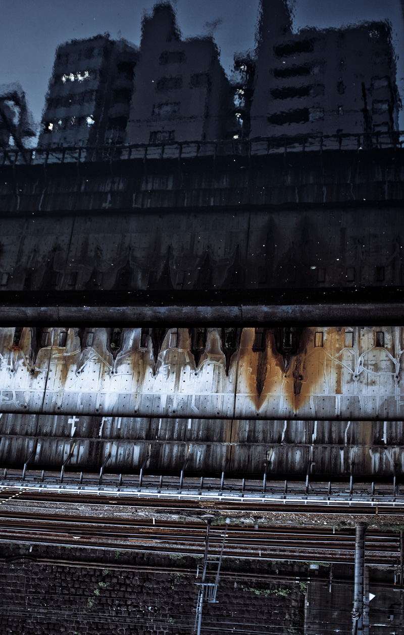 Cynic reflections of a dying world