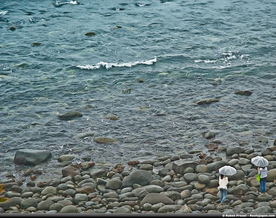 The Green Bag & The Sea