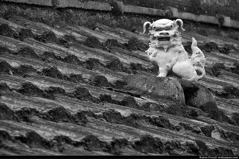 The Shisa