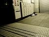 Drunk people in Japan