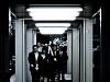 The White Collar Stargate
