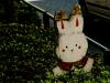 Happy Bunny